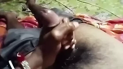 Hint bull var seks