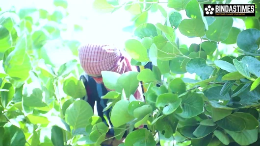 desi chor ve birden fazla cumshots ile üçlü (hintçe ses)