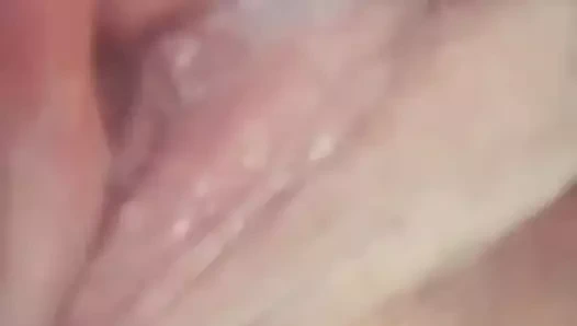 Kedi oyun yeni arkadaş