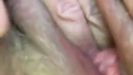 Damlayan ıslak yakın çekim kıllı beyaz kedi