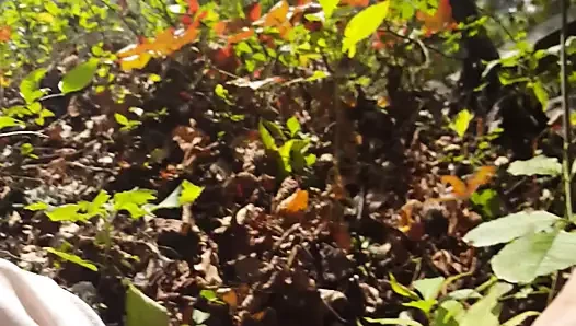 Mağara girişine yakın Bj, Cumberland boşluğu - jimmybolt