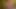 santas little helper under the Christmas tree now in full 4K high quality Ultra HD
