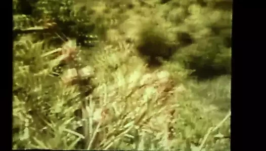 benim favori eşek tanrıça kriko