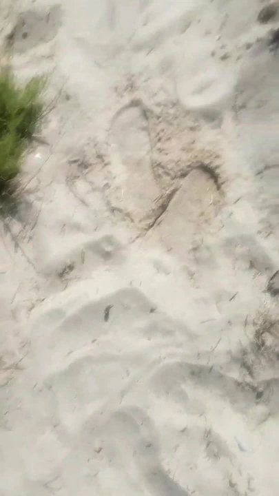 Valencia çıplaklar plajı