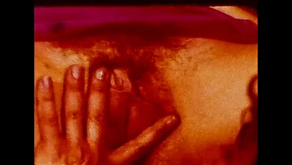 Küçük kırmızı kambur başlık, koleksiyon no. 79, 1979