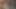 Dl heriflerin göt deliği sikiliyor