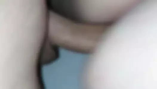 Deutsche bbw