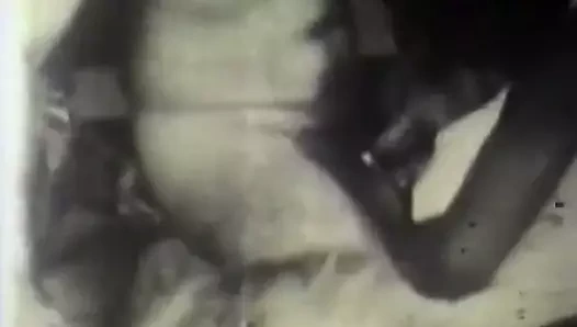 Siyah adamın horoz en iyi lanet (1950'ler vintage)