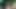 Güzel Olgunları Aletimi Emmeye Baştan Çıkarıyorum