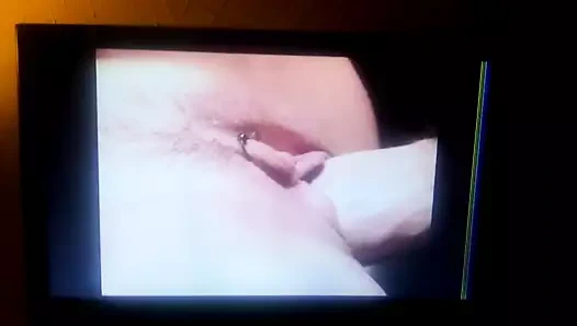 Büyük horoz pompalama kedi