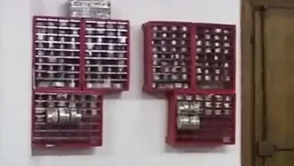 La nipote prediletta