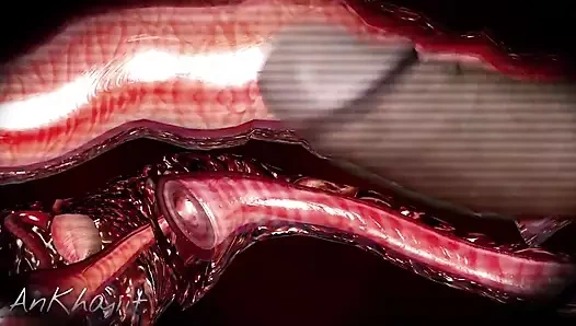 En iyi An_Khajiit derlemesi 3