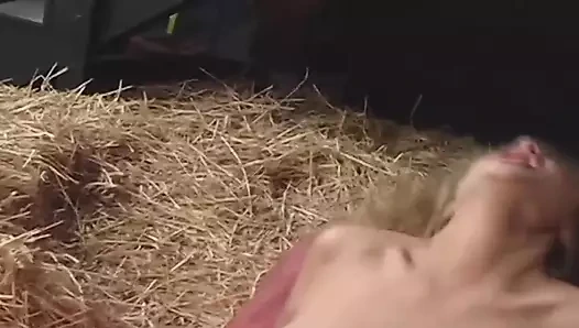 Beni samandan ve ahırda sert sik