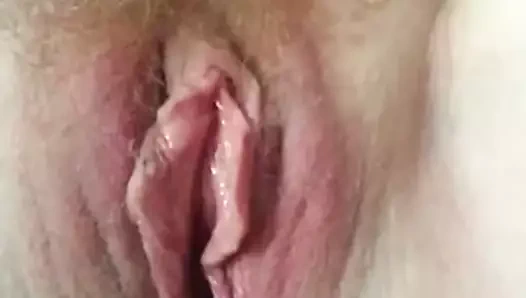 benim kedi yakın tur