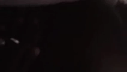 Ma chienne de guerre 3