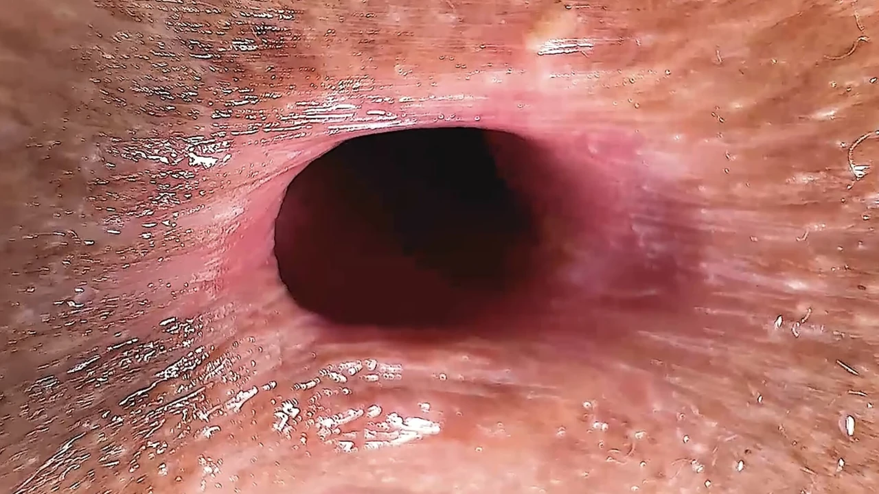 Симпатичная девушка пердит в камеру