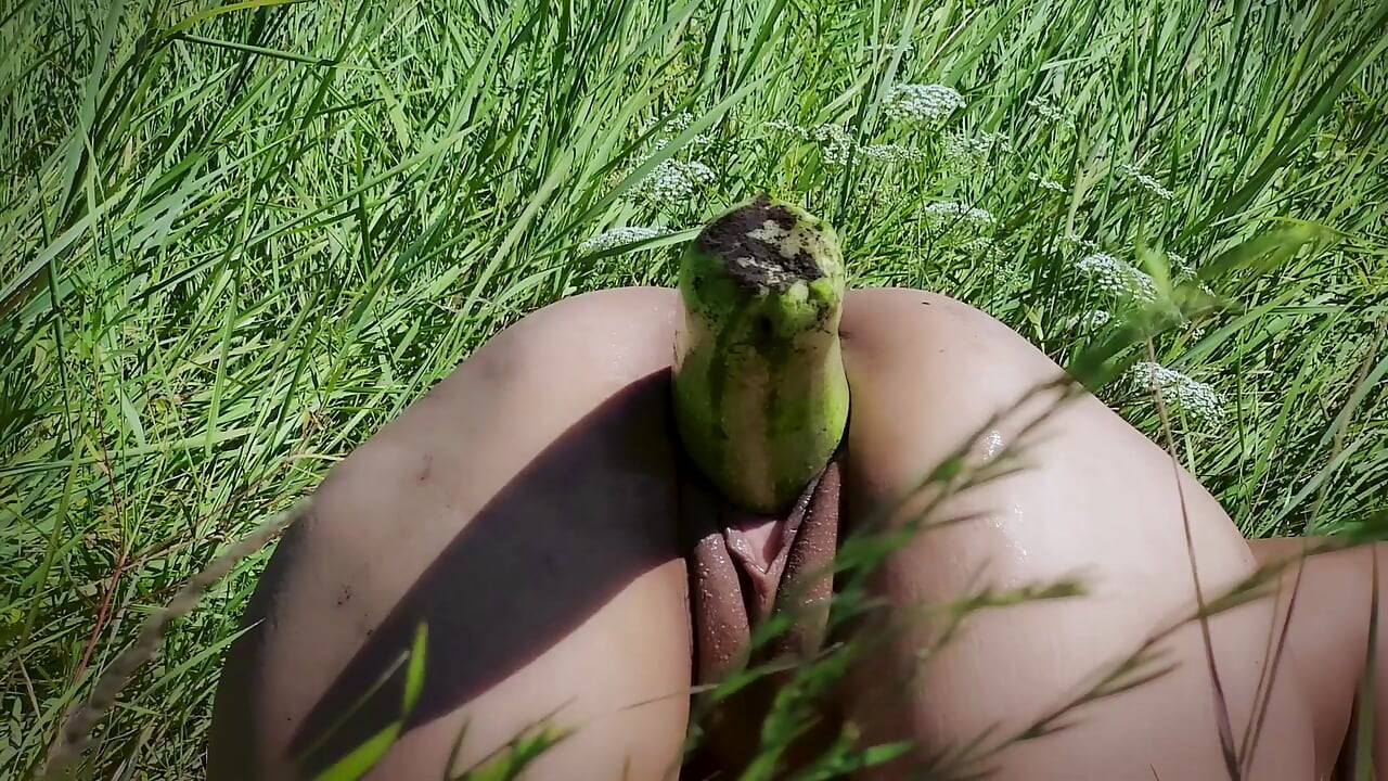 Doğadaki büyük nesnelerle uğraşmak. Yumruklama. Ağzı açık kedi.