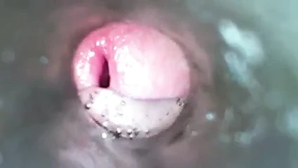 Fleshlight iç twinks hd