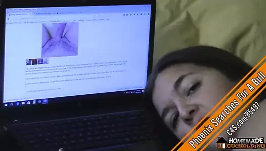 Phoenix bir boğa arar