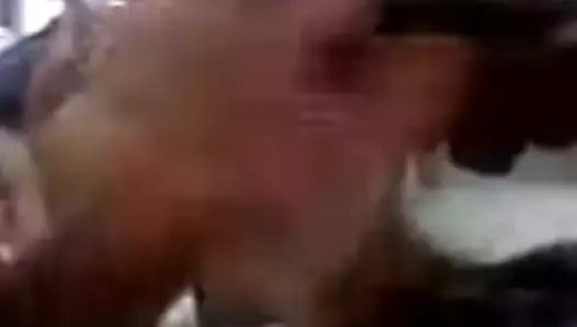 PINAY NA MAHILIG MANOOD NG JAKOL NG PINOY