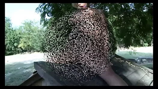 usta hector bağlı yukarı alt bianca at onun çiftlik açık havada