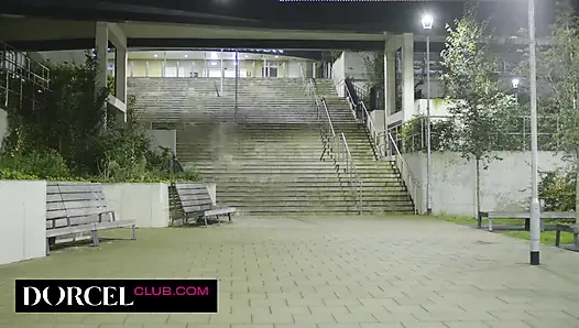 Suçüstü yakalandı