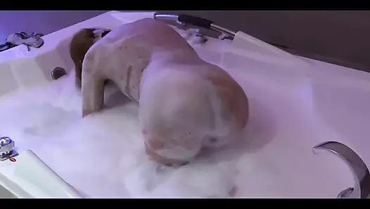 Arkadaşımın güzel karısı onu sikmeden önce motelde jakuzinin tadını çıkarıyor, yarak seviyor