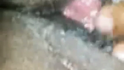 Oynama zekâ o KEDİ pt.2