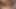 Esmer kadın amına mısır koçanı ve dildo sokuyor