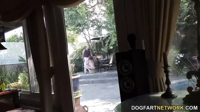 Anna çan dorukları aldatmak oturumlarında canavar horoz berbat