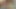 Kaba darbe iş ve lapdance tarafından pis Çek piliç