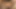 Seksi sürtükler vahşi bir pijama partisi yapıyor ve birbirlerinin götlerine oyuncaklar dolduruyor
