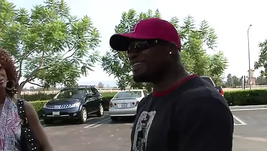 Melrose ve misty sikme bir siyah horoz içinde bir üçlü sahne