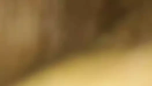 yarı japon yarı beyaz kedi