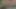 Zenci tanrıça Coco Pink büyük yaraklara biraz salya akıtıyor