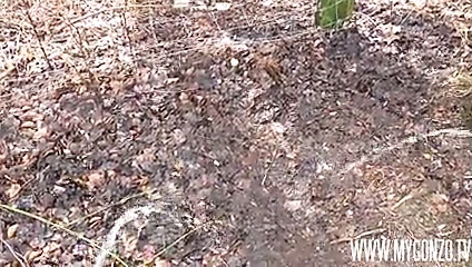 Dieter von stein &amp; reinhard: avrupa üzerinden seks kamyoneti ile