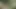 Fransız ir'den kızıl saçlı hatun ormanda anal sikiliyor