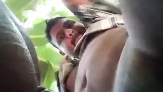 ayılar kahrolası açık havada