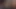 Sis - (pt 37)