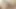 Seksi transeksüel çift sahip olan eğlence üzerinde web kamerası