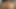 Baştan çıkarıcı orta yaşlı seksi kadın lezbiyenler patlayıcı orgazm için ıslak amcıklarını parmaklıyor