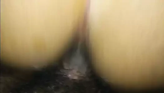 Köpek beceriyor benim arkadaşlar kız arkadaş