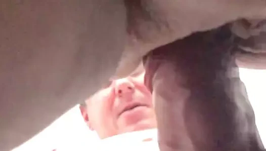 Une nouvelle levrette avec une belle ronde