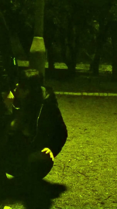 Trafik yanımızdan geçerken köpek gibi tasmalı ben ve herkes bize koşabilir... Paha biçilmez. | Klip 1