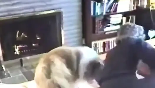 İri güzel kadın Joan ve Bob oturma odalarında sikişiyor