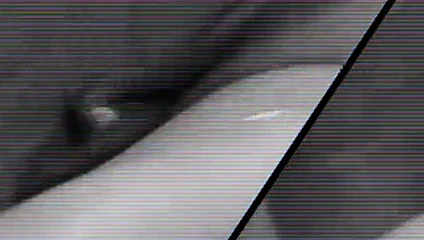 Sarah jane hamilton- safari jane (gr-2)