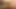 Travesti aşağı iniyor ve beyaz adama sakso çekiyor ve yarağını sıvazlıyor