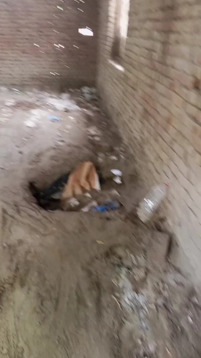 Pakistanlı viral video Pakistanlı tiktok yıldızı viral video Pakistanlı | Klip 2