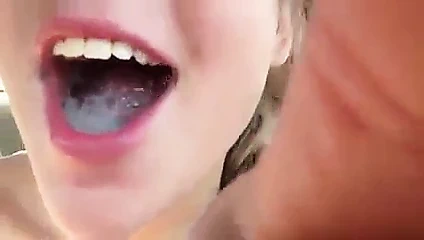 yol kafa kırlangıç