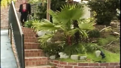 Bursting Tits and Hot Clits